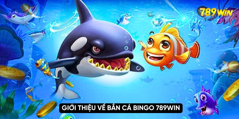 Giới thiệu về bắn cá bingo 789WIN