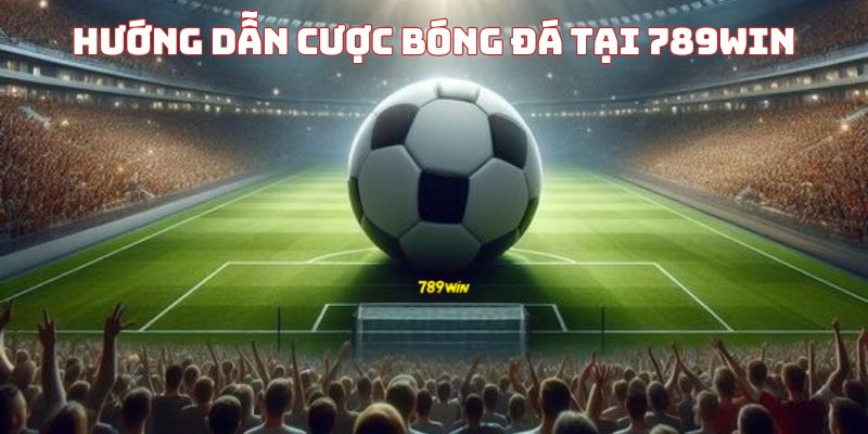 Hướng dẫn cược bóng đá tại 789WIN