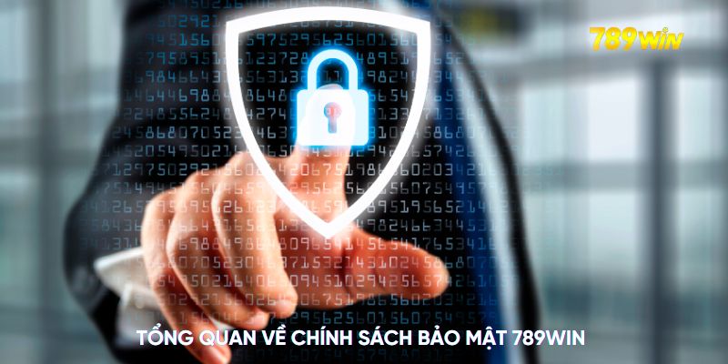 Tổng quan về chính sách bảo mật 789WIN