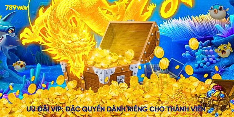 Ưu đãi VIP Đặc quyền dành riêng cho thành viên